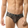 Sexy Mesh String Briefs - Image 9