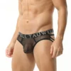Sexy Mesh String Briefs - Image 10
