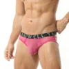 Sexy Mesh String Briefs - Image 13