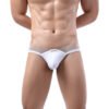 Silk Briefs With Mesh Edge - Image 6