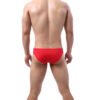 Silk Briefs With Mesh Edge - Image 9