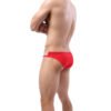 Silk Briefs With Mesh Edge - Image 4
